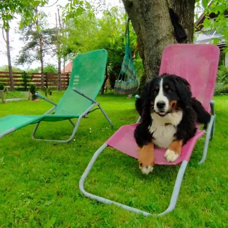 Wiejska Sielanka ウストロン