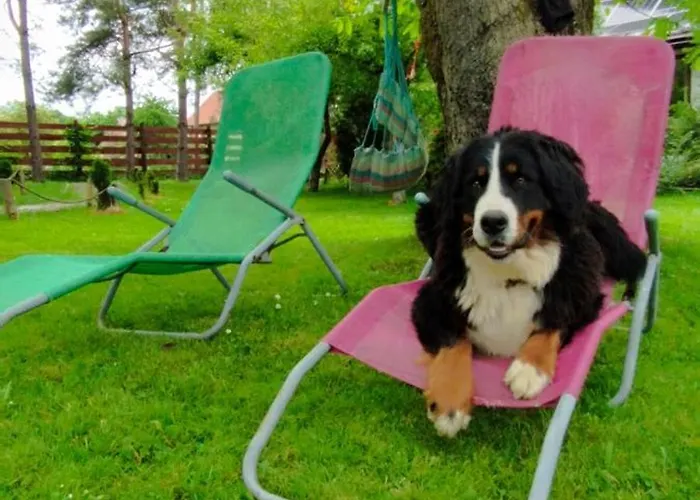 Wiejska Sielanka אוסטראון